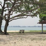 Interesting beach view, hey? :)
