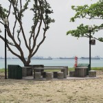One of the BBQ Pits