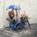 A "Blue" Bicycle Rick-Shaw