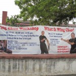 Yes what is Wing Chun?