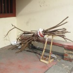 Collection of wood...looked intriguing!