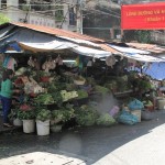 Fruit and Veg Market