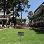 Nice Green and Fountain (I think this said "keep off the grass"!)