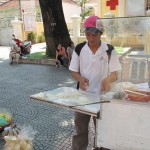 Vietnamese Spring Roll