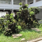 Fountain in the middle of the courtyard