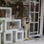 Cute Miniature Models