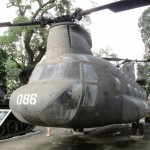 American Chinook