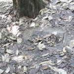 With leaves and twigs on top, and you wouldn't even know it was there!