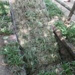 One of the many land-traps - Doesn't look bad hey?