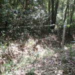 Barb wire galore