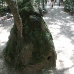 This replicate termite mound was used for 'ventilation'