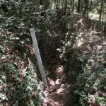 The trenches