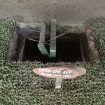 More of the traps!