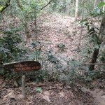 The B52 Bomb Crater!