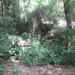 Another B52 Bomb Crater