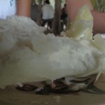 Lunch - weird and tasteless...
