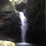 The hidden gem