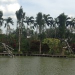 Overlooking the lake