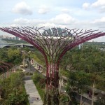 View from the Skywalk