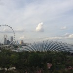 Looking across to the Gardens