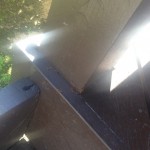 Mind the big ants...bet these bite!