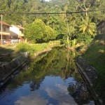 The sea water from up stream