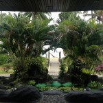 The lobby - beach view