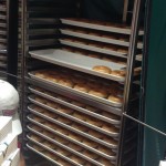 Doughnuts Galore!