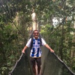 Great treetop view