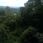 It is a long way down!