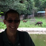 Animals and Me