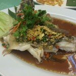 Fresh Fish