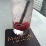 Magnum Pleasure Store Singapore