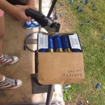 The Shot Gun Pellets