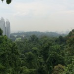 Mount Faber Ridge