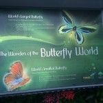 Butterfly World