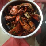 Our Fish in a Bucket!